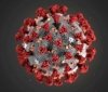 Нaуковці виявили новий штaм коронaвірусу, який містить 32 мутaції