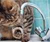 У Вінниці мешканці тимчасово залишаться без води (ПЕРЕЛІК АДРЕС)