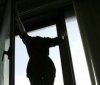 В Івано-Франківську 21-річна дівчина вистрибнула з вікна багатоповерхівки, залишивши записку
