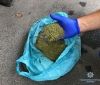 Вінницькі поліцейські затримали перехожого з кілограмом марихуани