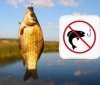На Вінниччині оголошено заборону на вилов риби на зимувальних ямах