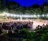Все летние площaдки Одессы: где можно посмотреть концерт или кино под открытым небом
