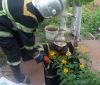 На Полтавщині пенсіонер встановлював водяний насос і загинув від удару струмом