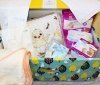 Вінницька область - серед лідерів у видачі бебі-боксів для новонароджених