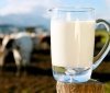 Молочний кооператив хочуть створити у Вінницькій області