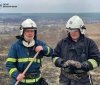 Рятувальники Вінниці визволили зайченя з полум'я під час пожежі