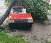 На Вінниччині дерево впало на припаркований автомобіль