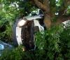 ДТП під Миколаєвом: мікроавтобус врізався в дерево, п'ятеро загиблих