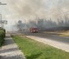 Масштабна пожежа у Вінниці: рятувальники ліквідували займання сухої трави на площі 2,5 га
