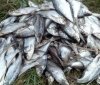 На Вінниччині спіймали рибалок-порушників