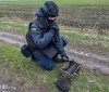 Піротехніки Вінниччини продовжують розмінування українських земель