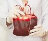 З початку року донори Вінниччини здали понад 2,6 тисяч літрів крові