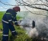 На Вінниччині знову зросла кількість пожеж в природних екосистемах
