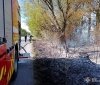 На Вінниччині сталося майже три десятка пожеж - згоріли тварини, пташині гнізда
