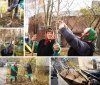 У Вінниці стартувала осіння висадка дерев: планують озеленити понад 500 локацій