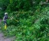 На Вінниччині продовують ліквідовувати наслідки негоди