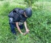 Вінницькі сапери знищили більше десяти артилерійських снарядів