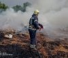 Шість виїздів за добу: на Вінниччині вогонь знищив понад 6 гектарів екосистем