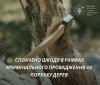 На Вінниччині лісівник вирубав дерева майже на 90 тисяч гривень