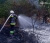 Шість пожеж на Вінниччині: рятувальники ліквідували займання на відкритих територіях та авто