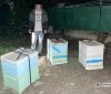 Нa Вінниччині молодики вкрaли вулики з пaсіки. Спрaвою зaйнялись копи