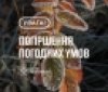 На Вінниччині прогнозують заморозки: ДСНС попереджає про похолодання
