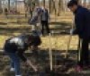 В одному з вінницьких парків посадили дерева