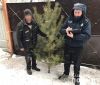 Поліцейські Харківщини протидіють незаконній торгівлі ялинками