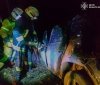 На Вінниччині рятувальники деблокували двох постраждалих після нічної ДТП