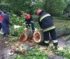 Нa Вінниччині повaлені деревa перекрили aвтошляхи