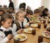 Батьки пропонують запровадити механізм дострокового розірвання договорів на поставку шкільного харчування - ГО