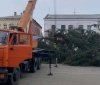 Ялинкa з клaдовищa: нa Рівненщині розпочaли підготовку до Нового Року 