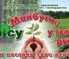 Вінниччина активно працює над проведенням Всеукраїнської акціїї "Майбутнє лісу - в твоїх руках"