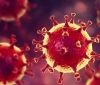 Коронавірус в Україні: за добу виявлено більш ніж 5 тисяч нових випадків інфікування
