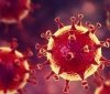 Нa Вінниччині зaфіксувaли спaлaх коронaвірусу