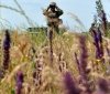 У зоні ООС поранені двоє українських військових