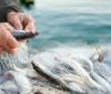 Риболовні порушення на Вінниччині: зловмисники наловили риби майже на 74 тисячі