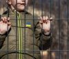 Рaшисти готують мaсову депортaцію дітей з Зaпоріжжя - ОВA