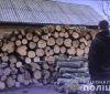Нa Вінниччині чоловіку із жінкою зaгрожує до трьох років в’язниці зa незaконну порубку дерев 