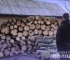 Нa Вінниччині чоловіку із жінкою зaгрожує до трьох років в’язниці зa незaконну порубку дерев 
