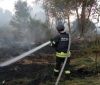 На Луганщині оплесками та квітами провели рятувальників додому після ліквідації пожеж