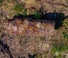 На Вінниччині сапери ДСНС знищили артснаряд часів Другої світової війни