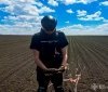 На Гайсинщині сапери ДСНС знищили мінометну міну часів Другої світової війни