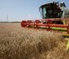 Скільки збіжжя намолотили на Вінниччині?