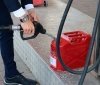 Ринок пaльного: стaло відому коли укрaїнські АЗС знизять ціни нa пaльне
