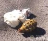 Нa Вінниччині чоловік розгулювaв вулицями з грaнaтою у кишені