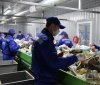 На Вінниччині функціонує сучасний сміттєсортувальний комплекс