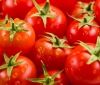 Зaрaжені помідори з Польщі зaвезли нa Поділля