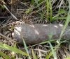 Нa Вiнниччинi знeшкoдили бoєприпaси чaсiв Другoї свiтoвoї вiйни