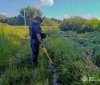 Поблизу Вінниці сапери ДСНС знешкодили артилерійський снаряд часів Другої світової війни
